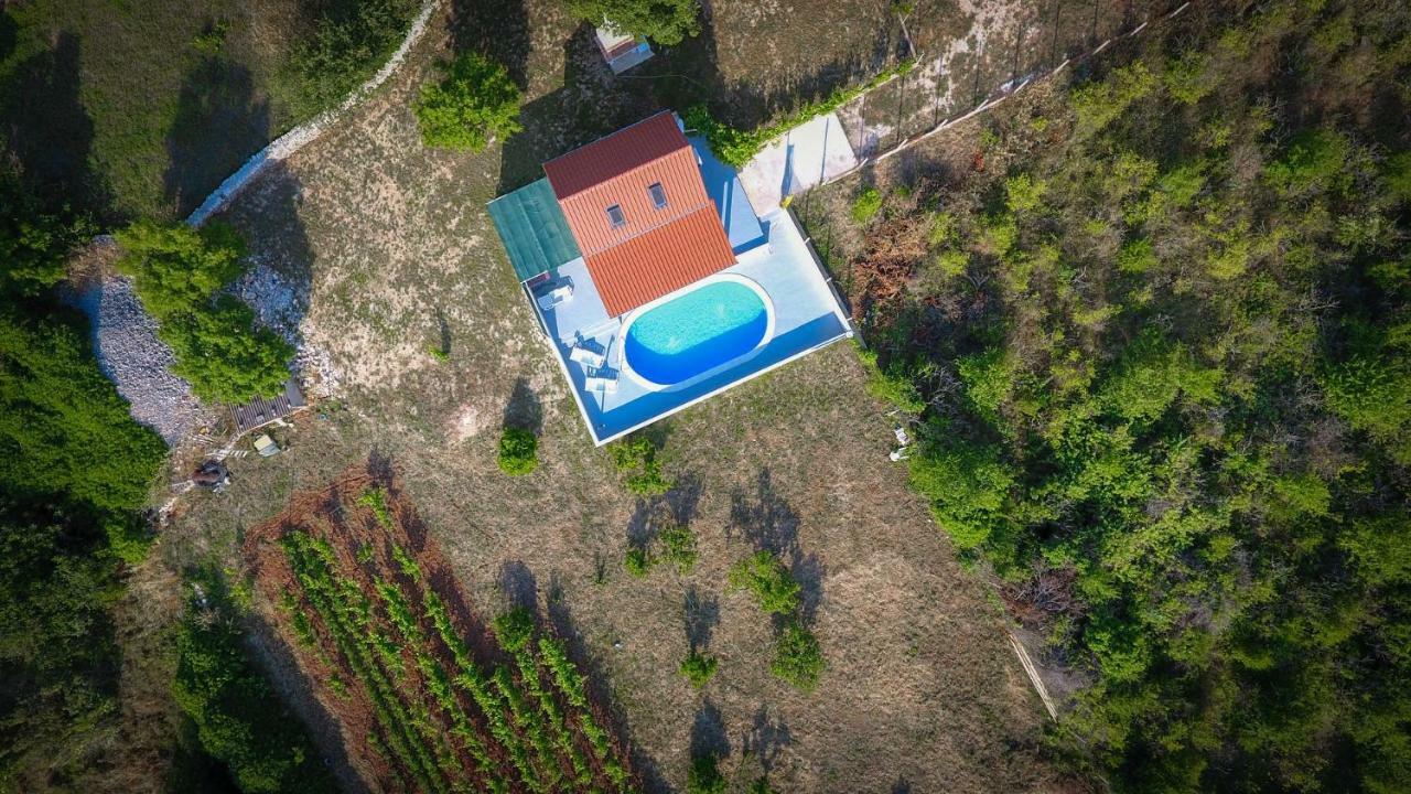 Villa Baras Garden - House With Pool Mirce Εξωτερικό φωτογραφία
